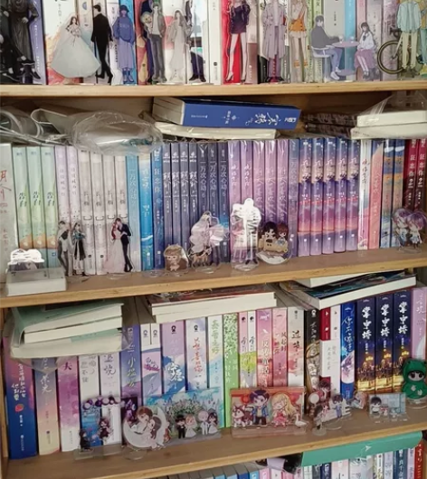 出闲置小说 青春文学 正版 保存完好   ...