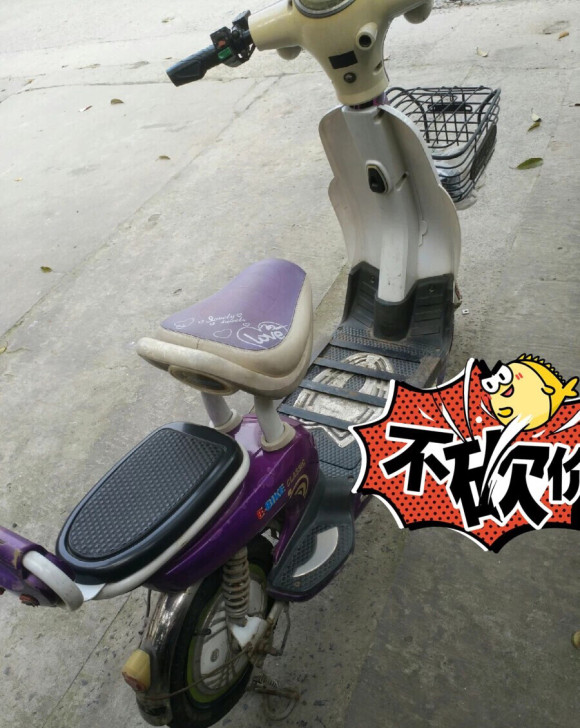 电动自行车电单车电动车