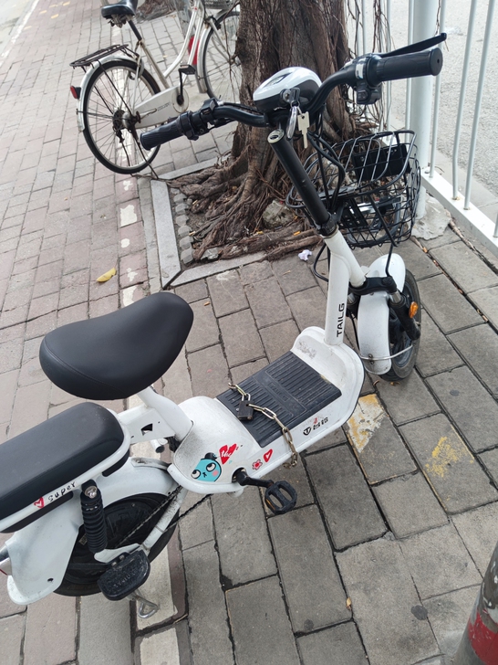 台铃电动车，国标车，因为本人换更大的电动车...