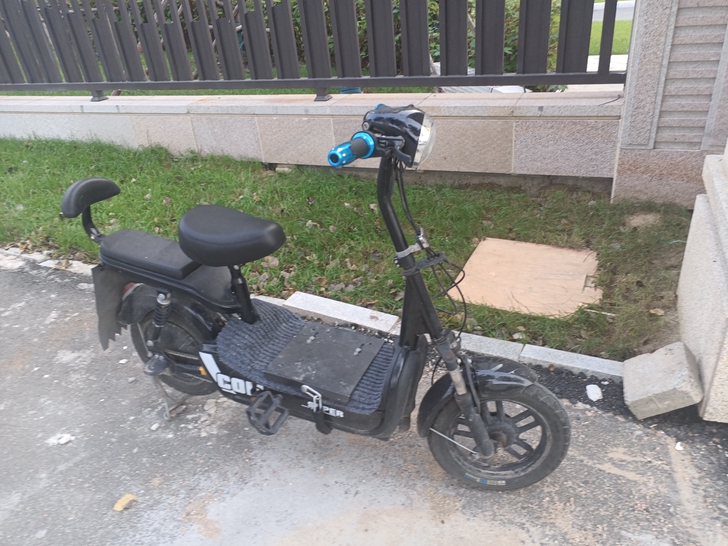 国标电动自行车，电动车，电瓶车，21年4月...