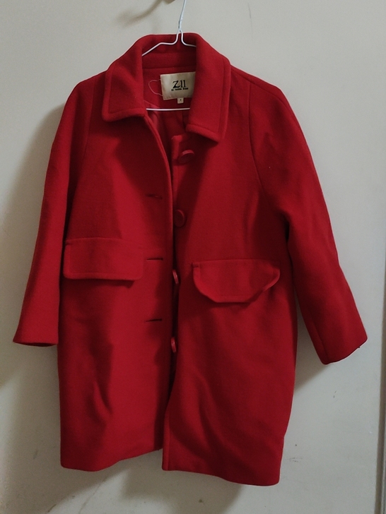 ZII大衣。搬家,便宜出