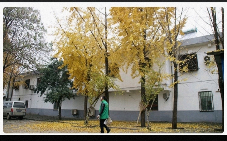 【高清摄像数码照相机】 一手出  包邮