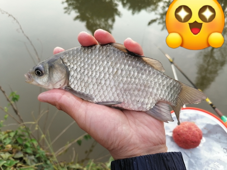 求购GoPro 运动相机或者大疆运动相机