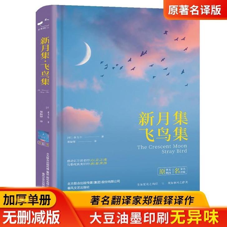 局外人（精装）中小学课外阅读名著未删减插图...