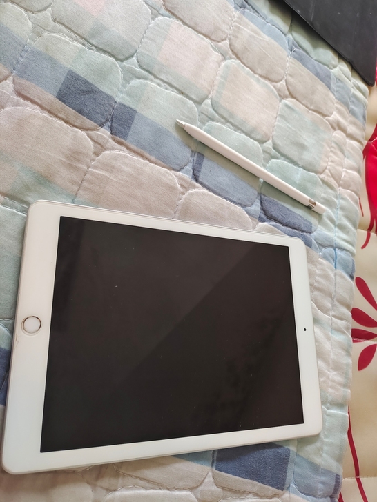 ipad     2018买了有两年多，表...