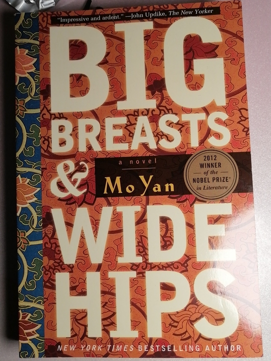 包邮现货正版进口英文原版书丰乳肥臀Big ...