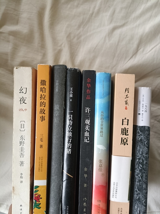 东野圭吾 放学后 幻夜(成色一般)