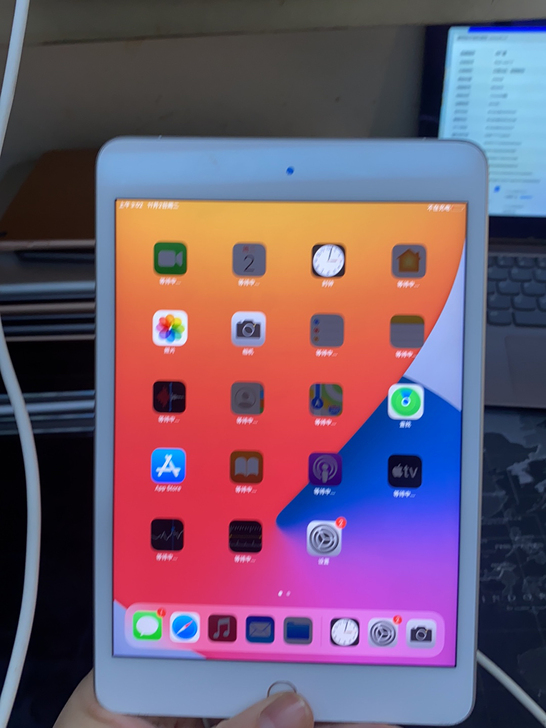 iPad mini5 256g  插卡4g...