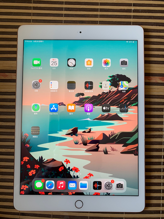 苹果 ipad 2019金色国行32g闲...