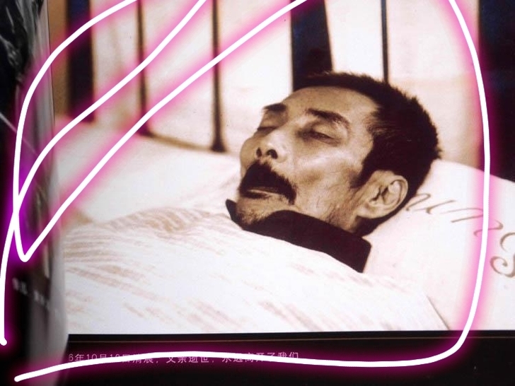 鲁迅画册 内含350多幅老照片