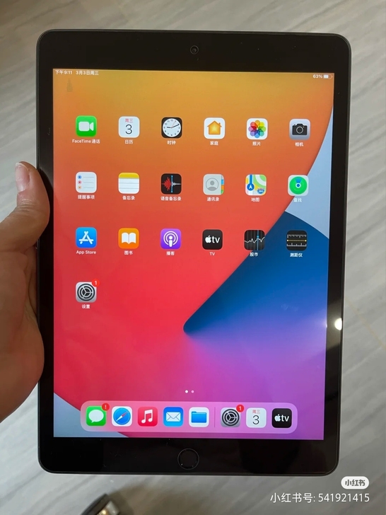 自用 iPad2019 128g新款iPa...