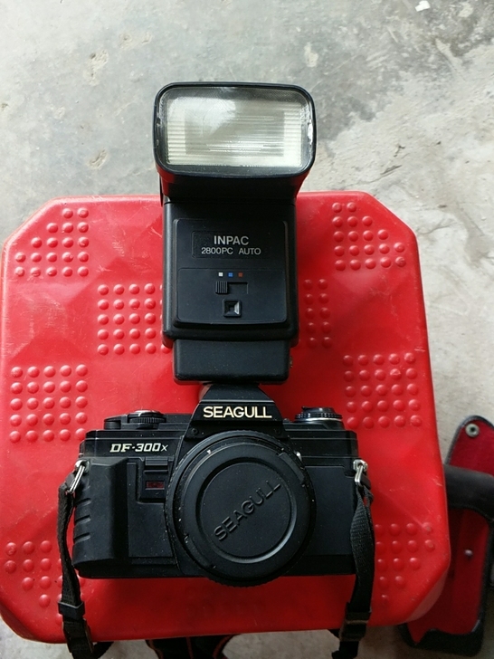 SEAGULL -DF-300x照相机，我...