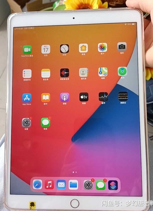 女生自用iPad 2019款， 128g ...