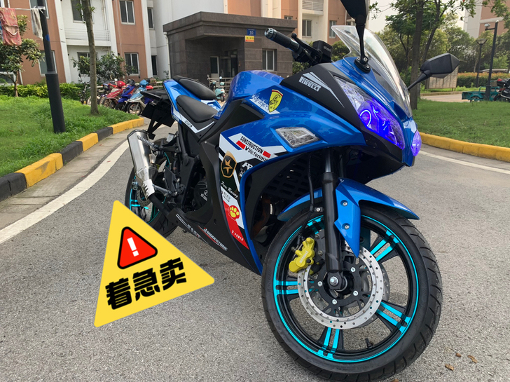 全新