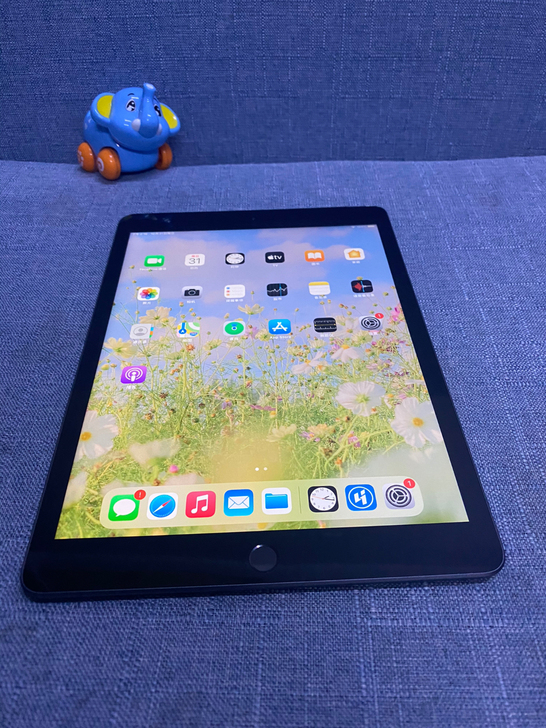 iPad 8 2020款 10.2寸 12...
