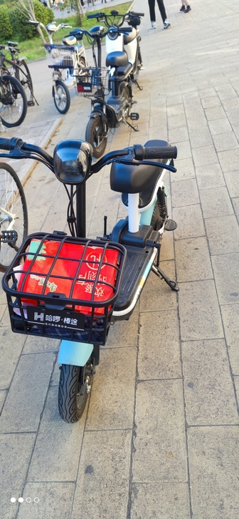棒途电动车，支付宝哈啰旗下的品牌，减震很好...