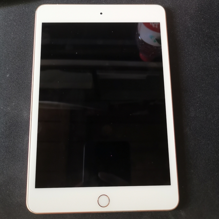 苹果IPad mini 5(2019)二手...