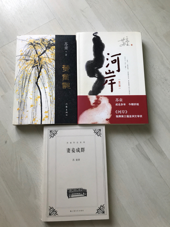 苏童小说正版
