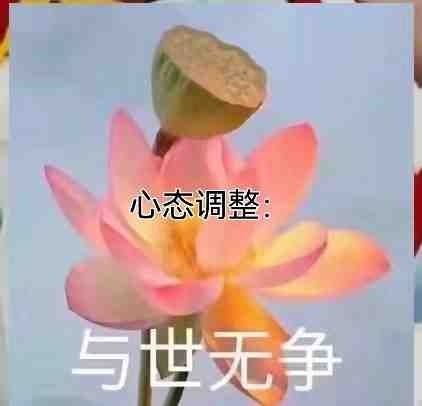提供会计初级，中级，注册会计师，税务师考试...