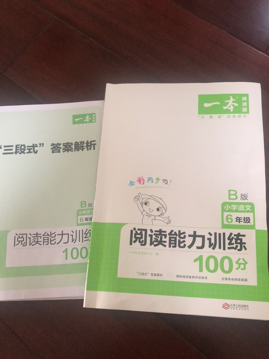 语文 六年级阅读能力训练100分一本阅读题