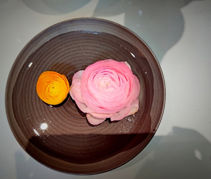 CLAMP圣传完全版