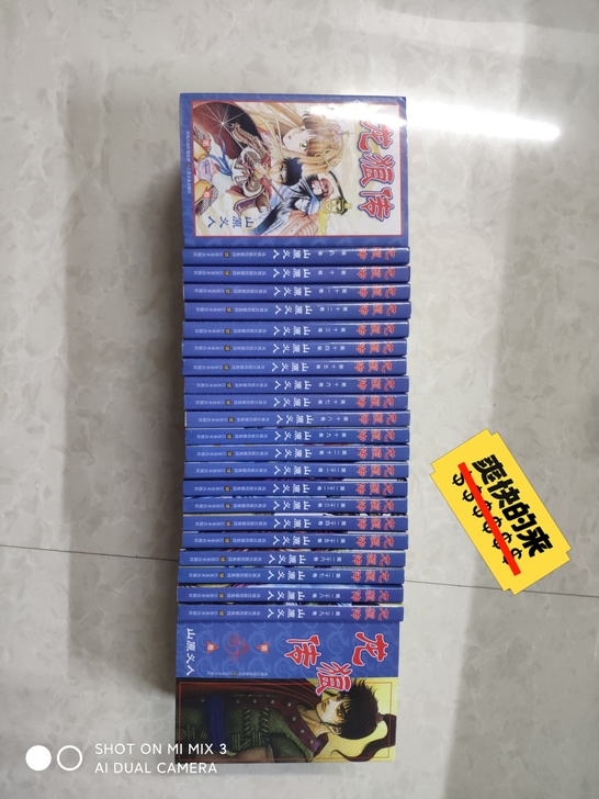 龙狼传9新650，全新X