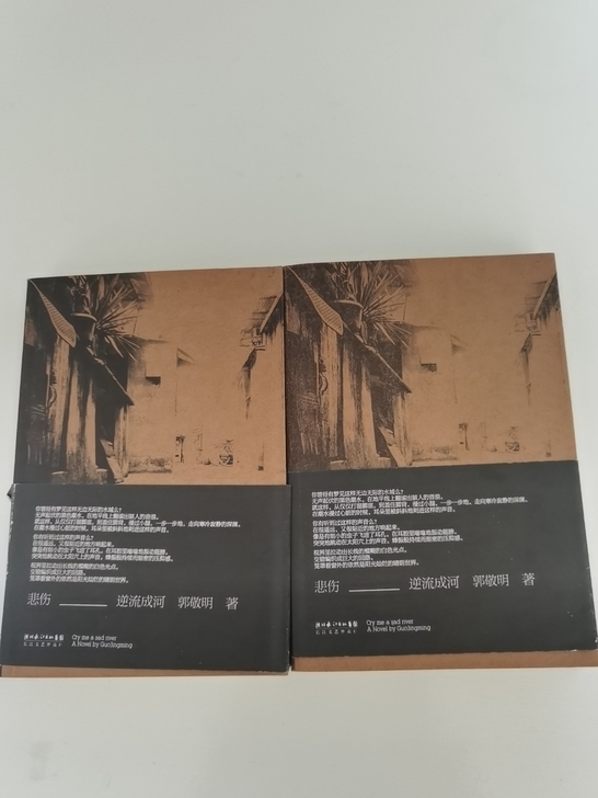 郭敬明小四签名版《悲伤逆流成河》两本，带封皮