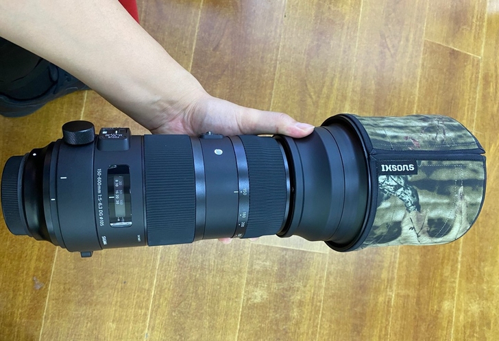 适马150-600 S版 佳能口 前后镜片...