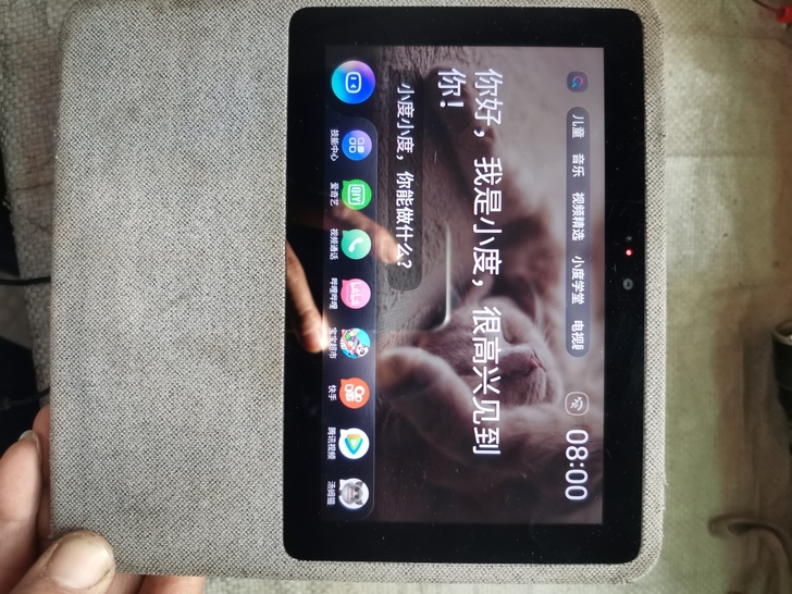 小度在家1C，成色如图。
