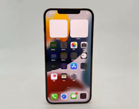 Apple/苹果 iPhone 12 Pr...