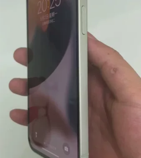 Apple/苹果 iPhone 12 国行...