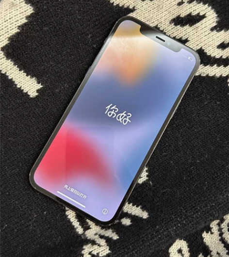 老妈用的iphone 12 pro 256...