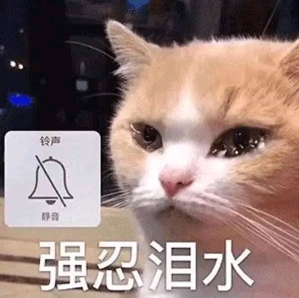 【蹲】有无抢到票的善良姐子能帮忙带一带中文...