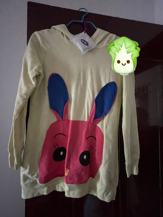 转手原因 ：搬家衣服太多