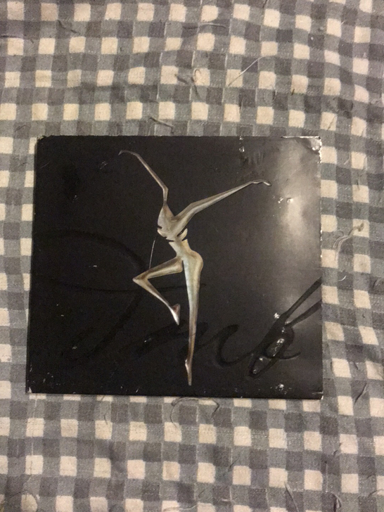 dave matthews band st...