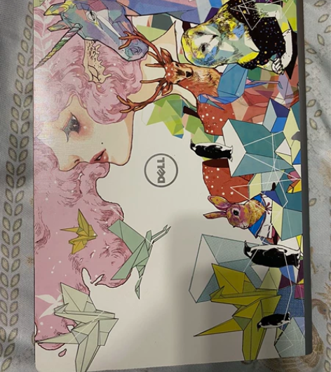 15年戴尔p49g 14寸笔记本，屏幕、机...