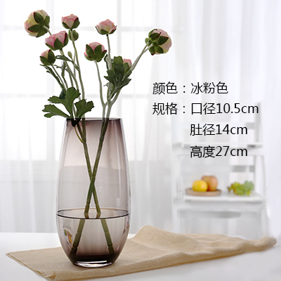 欧式彩色玻璃花瓶 透明客厅工艺品大号插花水...