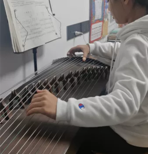弘音古筝 初学者教学专业演奏入门实木古筝琴...