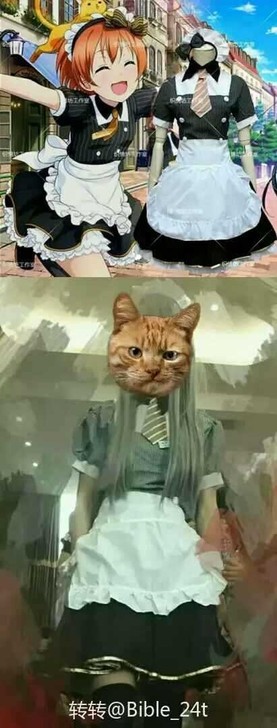 lovelive cos 凛喵女仆咖啡厅打...