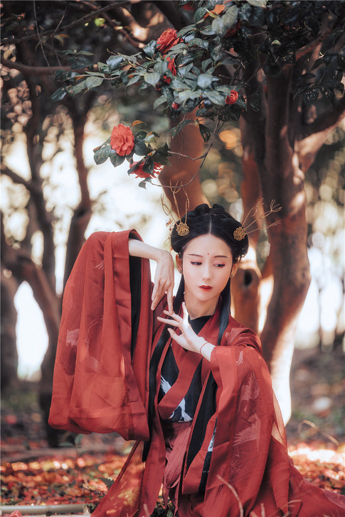 兰若庭汉服  一重衣单件   魏晋风广袖交...
