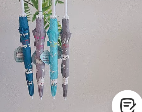 Holly##amp；amp；beau 童...