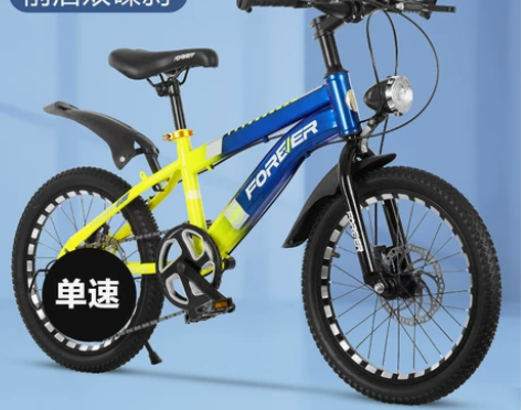 永久儿童自行车男孩女孩单车小孩8-12岁山...