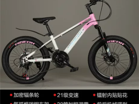 飞鸽（FLYING PIGEON） 自行车...