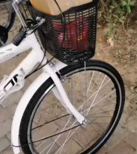 飞鸽七级变速自行车，10.10号下的单，刚...