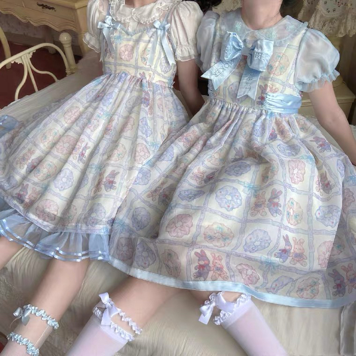 山正鉴定瑞本兔