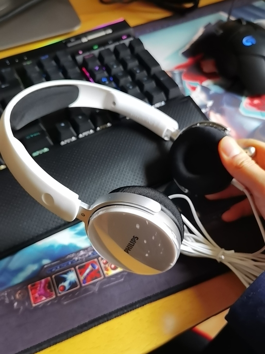 Philips/飞利浦 耳机