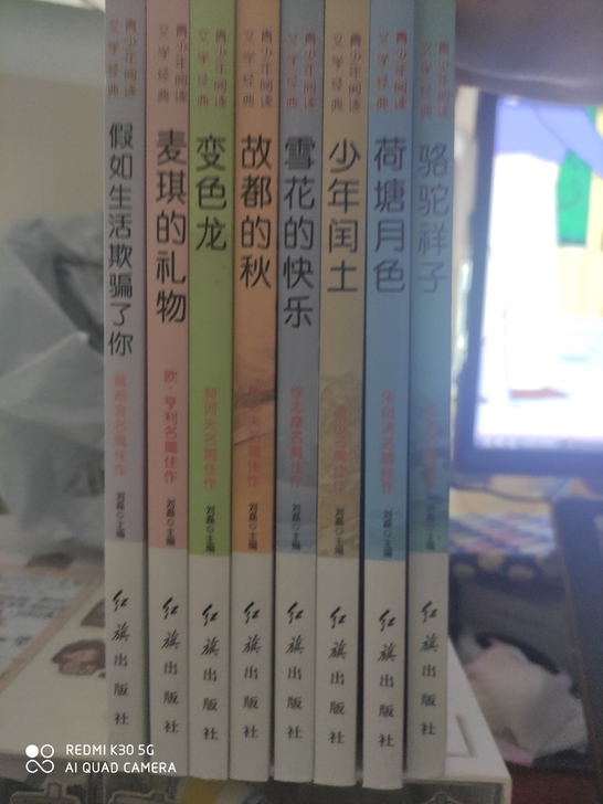 青少年课外阅读丛书