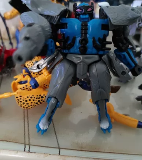 变形金刚 超能勇士 bw复刻灰狼勇士，全配...