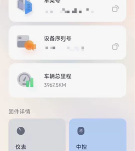 九号电动车e100，双电并联线，前卡明哲大...