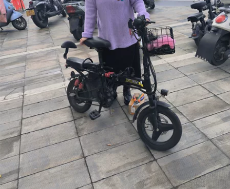 SUMAD电动车，德国品牌，使用一年左右，...
